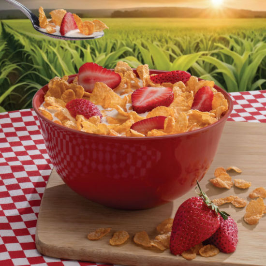 Fotografía de un tazón de cereal.
